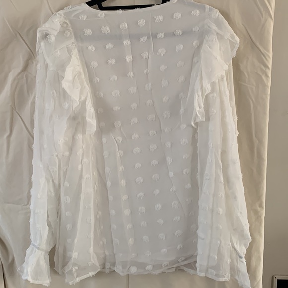 White Swiss dot long sheer sleeve top with V neckline. New in bag - Picture 3 of 9